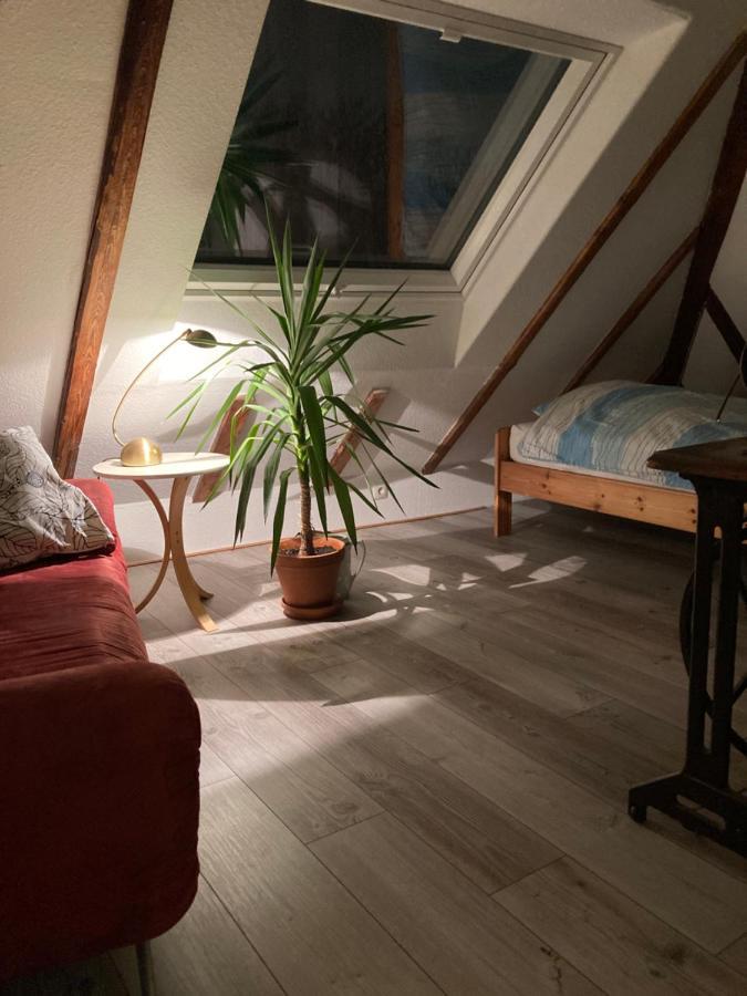 Privates Appartment Ferienwohnung Im Einfamilienhaus Düsseldorf Dış mekan fotoğraf